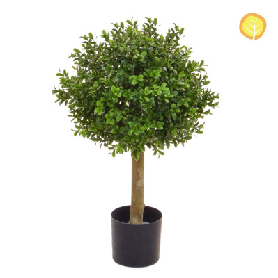 Topiary Buxus Ball 30cm UV