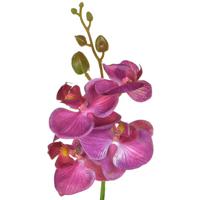 SF Orchid Phalaenopsis XJ Sm Dk/Pk 57cm