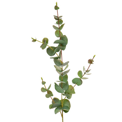 FS Eucalyptus Green GB 80cm