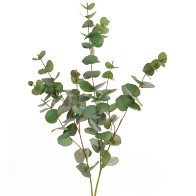 FS Eucalyptus Green GB 100cm