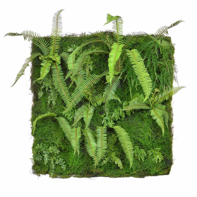 Greenwall Ferns 100x100cm