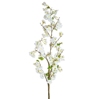 SF Cherry Blossom White JA 157cm
