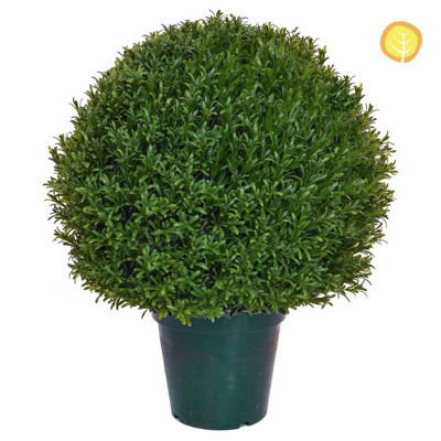 Topiary Rosemary Ball 52cm UV