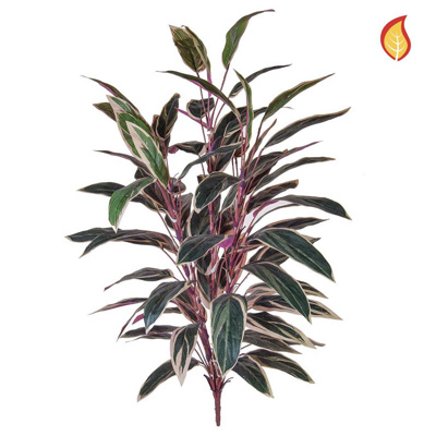 Plants Caladium Bush Green / Pink 85cm FR-S4