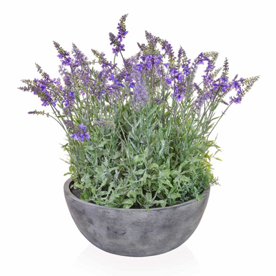 PP Lavender in Bowl 38x50cm