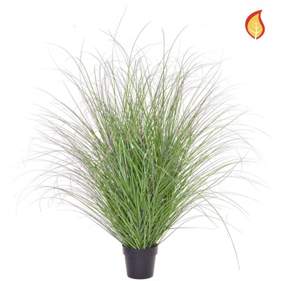 Grass Green/Red Tip in Pot 140cm FR-S3