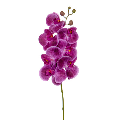 SF Orchid Phal Purple Real Touch GB 70cm