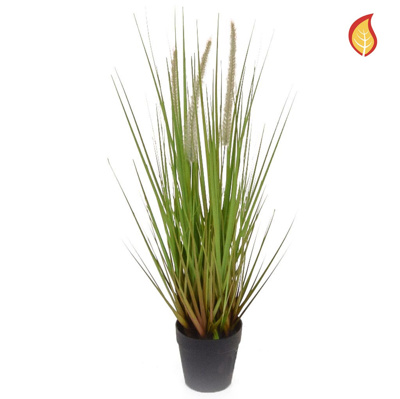 Grass Dogtail Grass A with pot 52cm FR-S2
