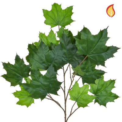 Foliage Maple North American Grn 70cm FR-S1