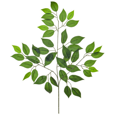 FS Ficus Deluxe Retusa Green 55cm