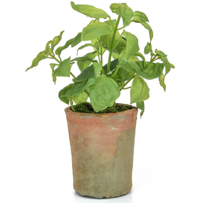 PP Potted Herb Basil GB Green 28cm