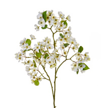 SF Fruit Blossom White JA 92cm