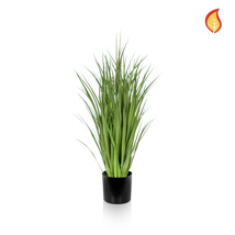 Grass with Pot FR 67cm-S11