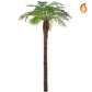 Palm Robellini 180cm FR