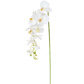 SF Orchid Phalaenopsis XJ Med Wh 98cm