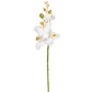 SF Orchid Phalaenopsis XJ Sm Wh 57cm