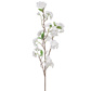 SF Cherry Blossom White W 100cm