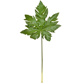 FS Leaf Papaya JA 105cm