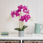 PP Orchid Dk Pink  in Grey Pot 70cm