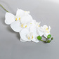 SF Orchid Phal White Real Touch GB 70cm