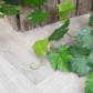 I & T Ivy Grape Vine 118cm FR UV-S1