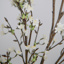 SF Cherry Blossom Sakura White 140cm