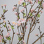 SF Cherry Blossom Sakura Pink 140cm