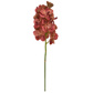SF Orchid Vanda K Rust 53cm