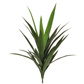 Plants Yucca B Green 59cm w/16 lvs